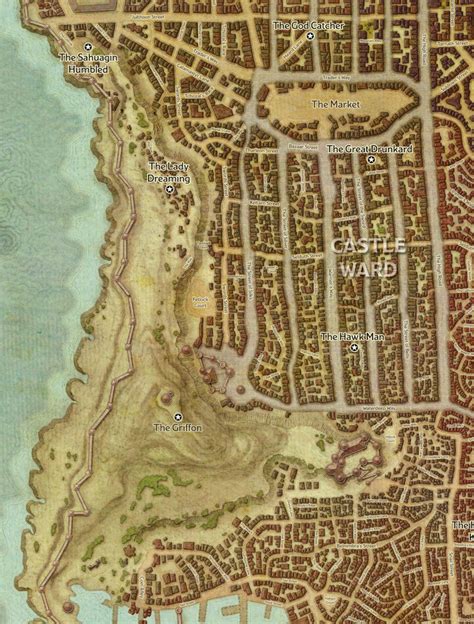 peaktop aerie|Castle Ward Settlement in Forgotten Realms .